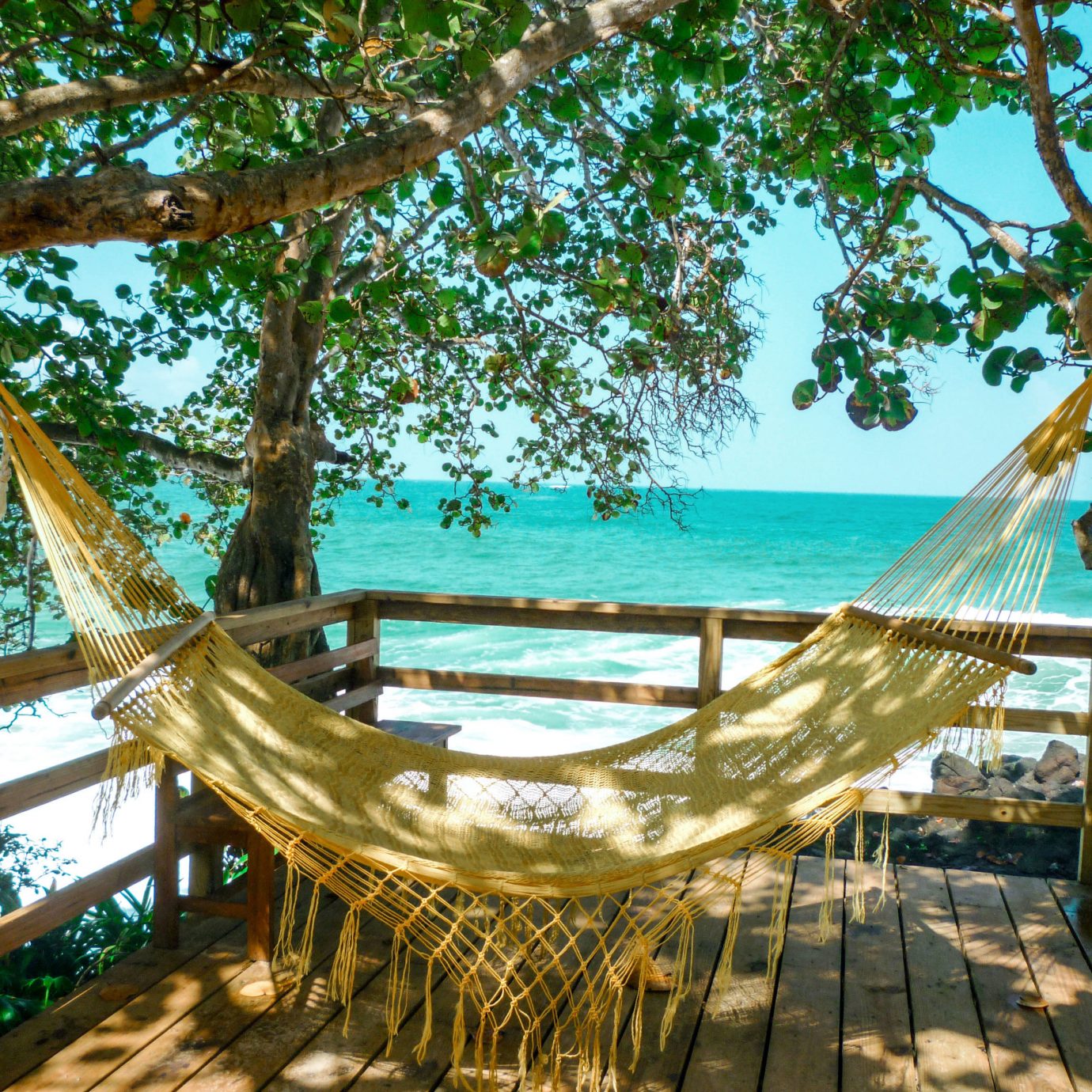 tree leisure swimming pool hammock Resort caribbean Villa Water park tropics overlooking lined