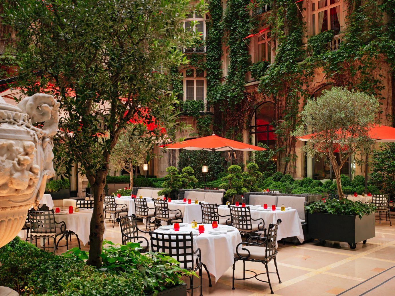 Hotels Luxury Travel tree outdoor floristry Courtyard Garden flower restaurant backyard plaza