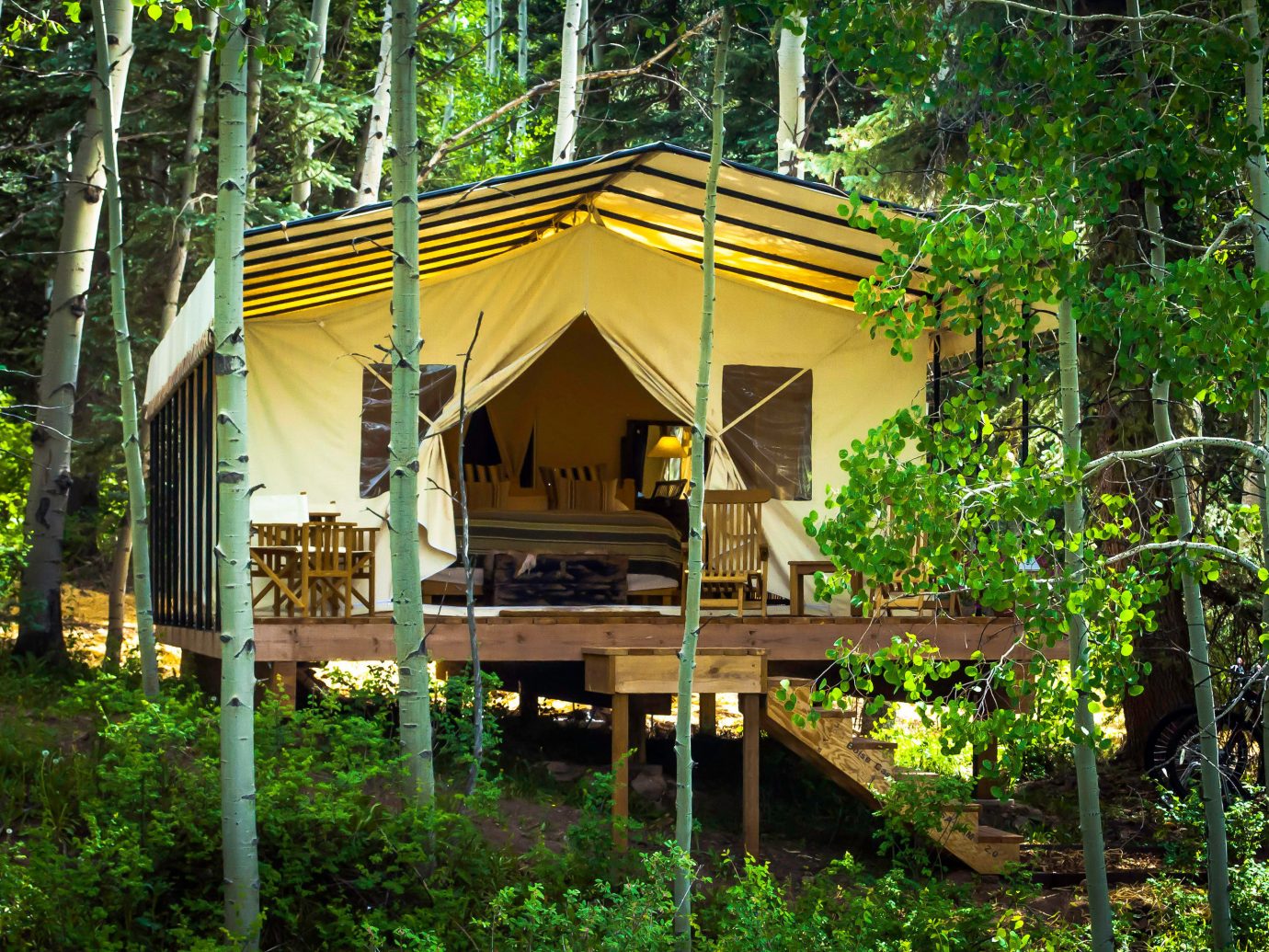 Adventure Bedroom Country Forest Glamping Mountains Outdoors + Adventure Rustic Weekend Getaways Wellness tree outdoor habitat natural environment house building Jungle Resort hut temple log cabin outdoor structure rainforest estate shrine shinto shrine tree house Garden area wood wooded