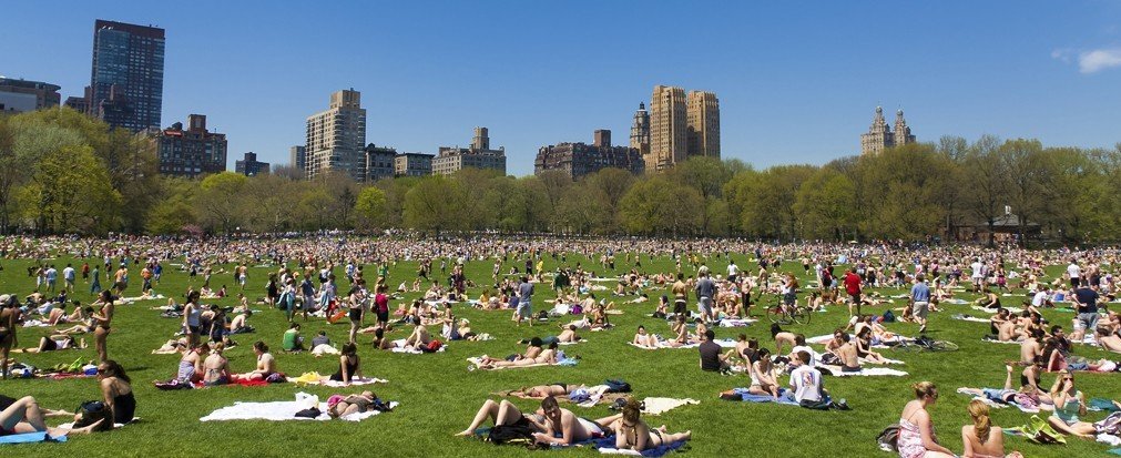 Arts + Culture grass outdoor field park people human settlement residential area grassy lawn crowd