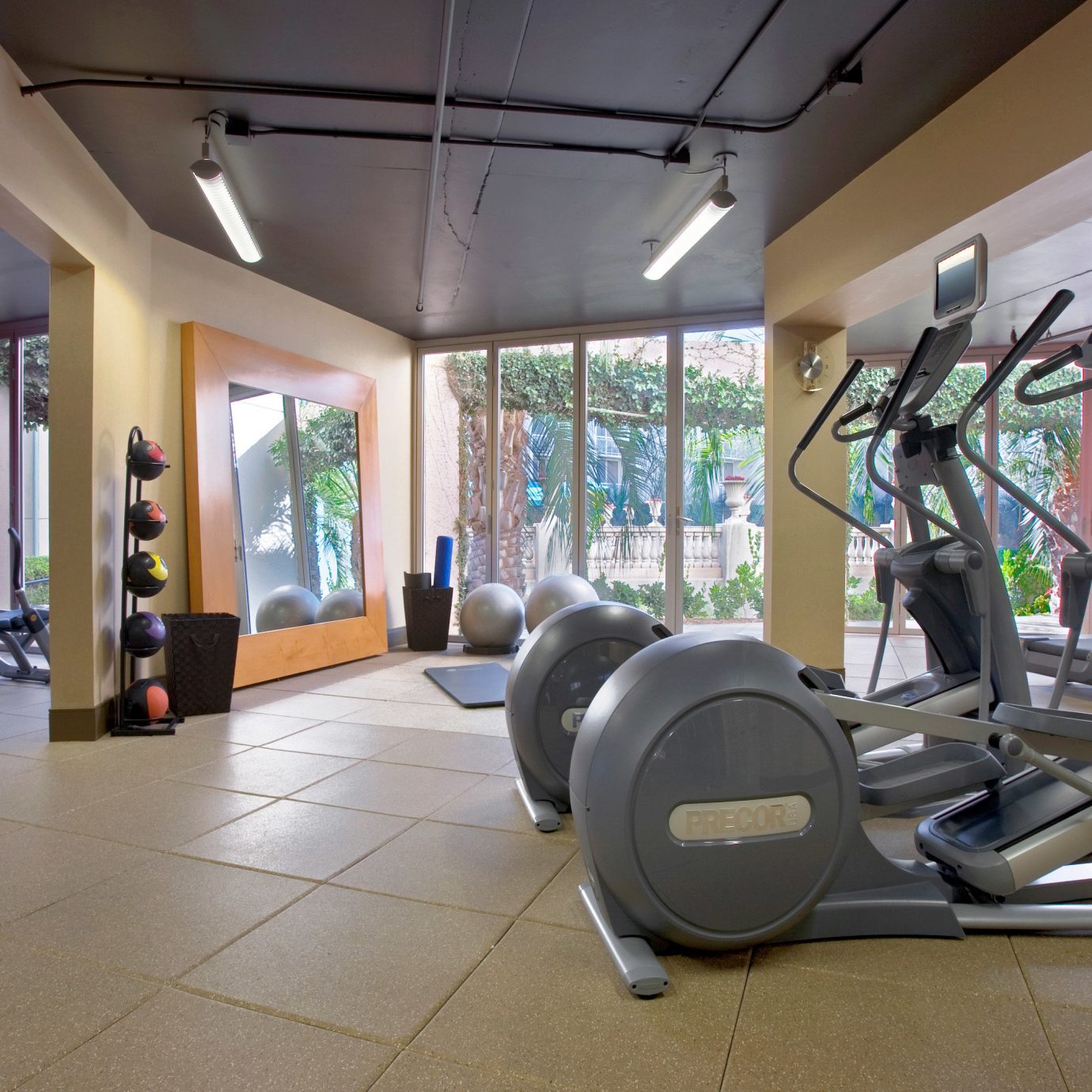 structure gym sport venue Sport leisure muscle physical fitness