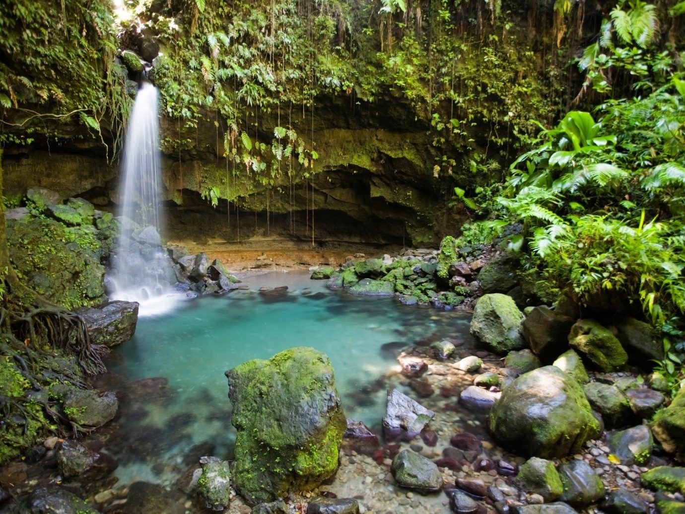 caribbean Secret Getaways Trip Ideas outdoor habitat Nature Waterfall vegetation body of water water watercourse rock stream rainforest water feature Forest River Jungle woodland old growth forest area surrounded