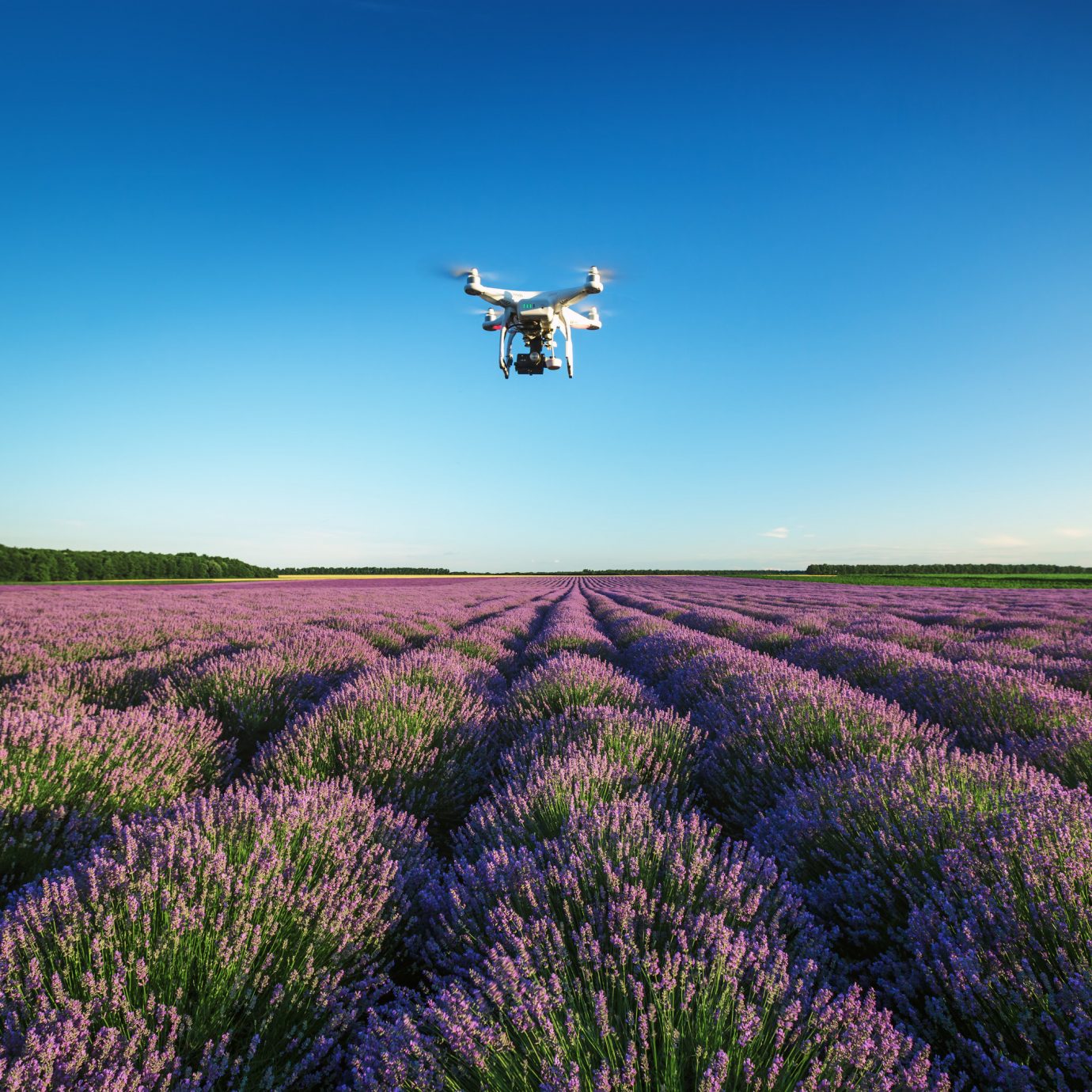drone Travel Shop Travel Tech Travel Tips grass sky outdoor flower field grassland plant horizon lavender prairie plain grass family meadow atmosphere of earth land plant grassy aircraft steppe flowering plant english lavender agriculture wildflower runway land lush landing hillside day
