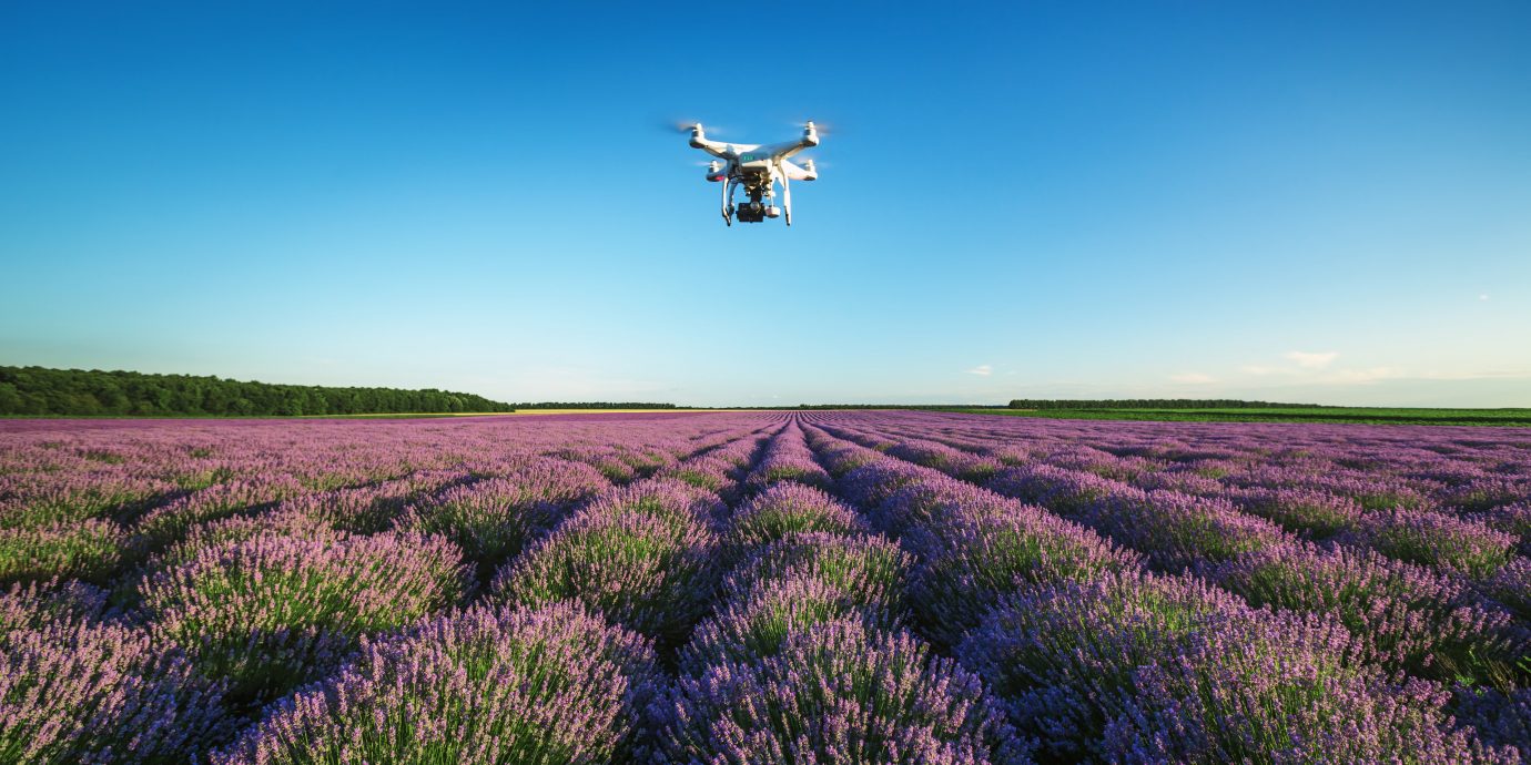 drone Travel Shop Travel Tech Travel Tips grass sky outdoor flower field grassland plant horizon lavender prairie plain grass family meadow atmosphere of earth land plant grassy aircraft steppe flowering plant english lavender agriculture wildflower runway land lush landing hillside day