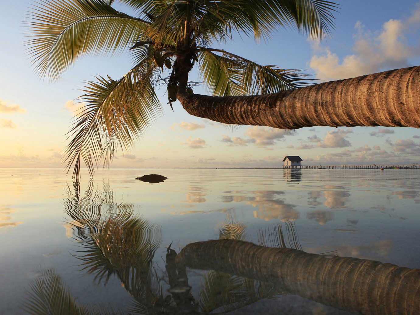 Islands Trip Ideas water outdoor sky Nature tree reflection plant Sea shore Sunset morning Lake Ocean vacation arecales woody plant palm family evening sunlight Beach Coast dusk sunrise palm