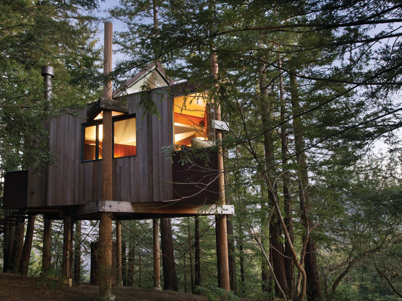 Hotels Trip Ideas tree outdoor house tree house log cabin home outdoor structure Forest wood wooded several