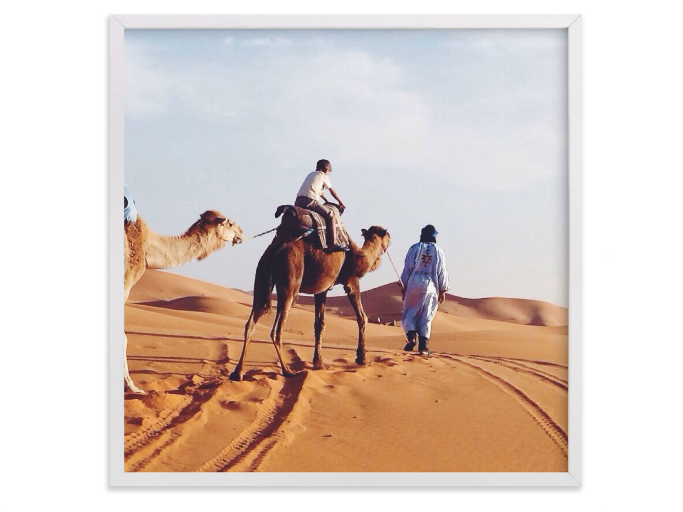 Style + Design Camel mustang horse landscape Desert sahara camel like mammal aeolian landform illustration
