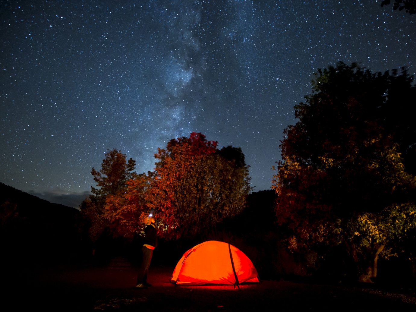 calm camping majestic Nature night night lights Night Sky Outdoor Activities Outdoors remote serene stars tent Travel Tips trees wilderness tree outdoor sky outdoor object light atmosphere darkness astronomical object dark star evening astronomy moonlight midnight Sunset