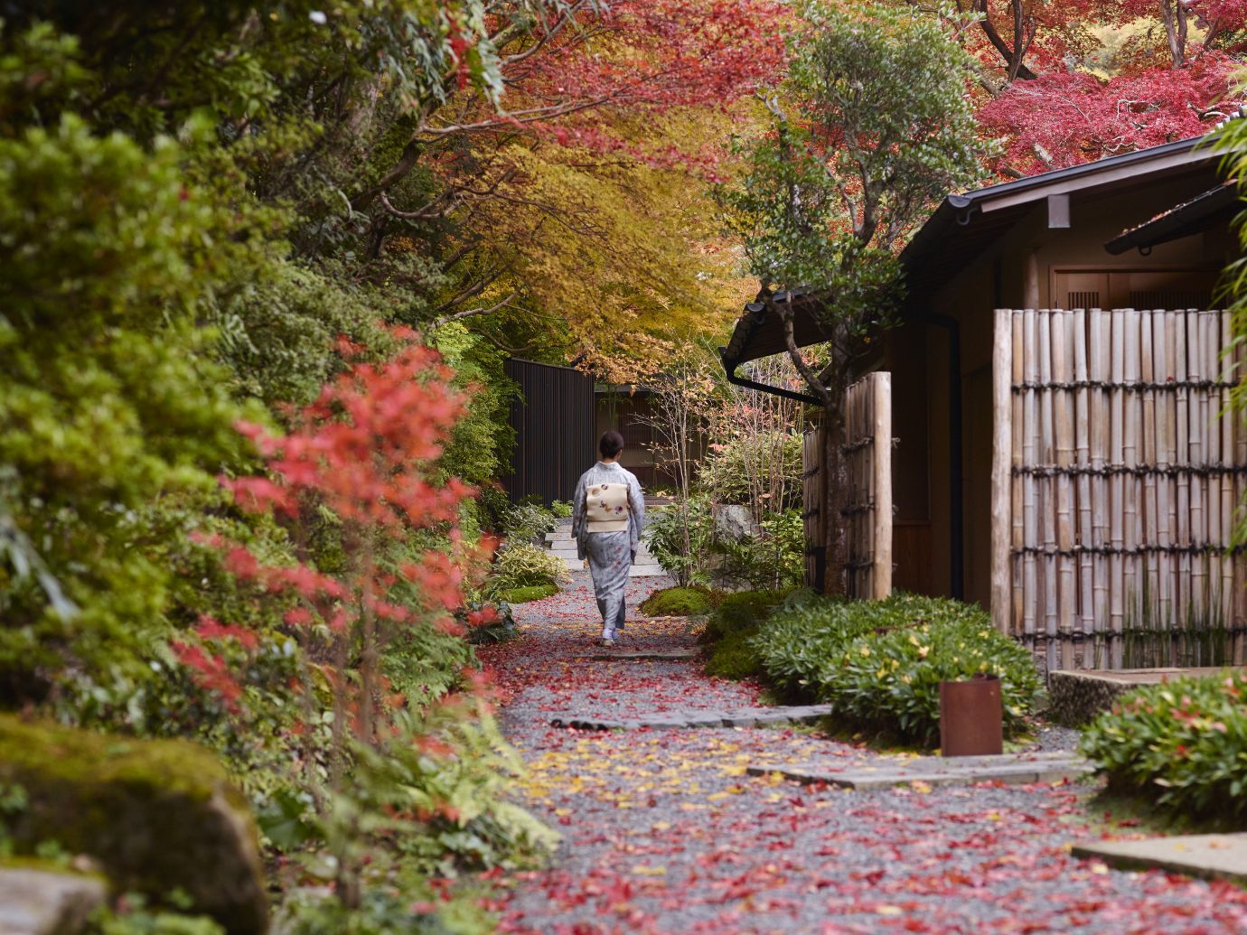 Beauty Health + Wellness Japan Kyoto San Francisco Travel Tips leaf Nature plant Garden tree autumn walkway landscape house shrub grass home yard spring landscaping maple tree backyard flower Courtyard real estate outdoor structure lawn estate