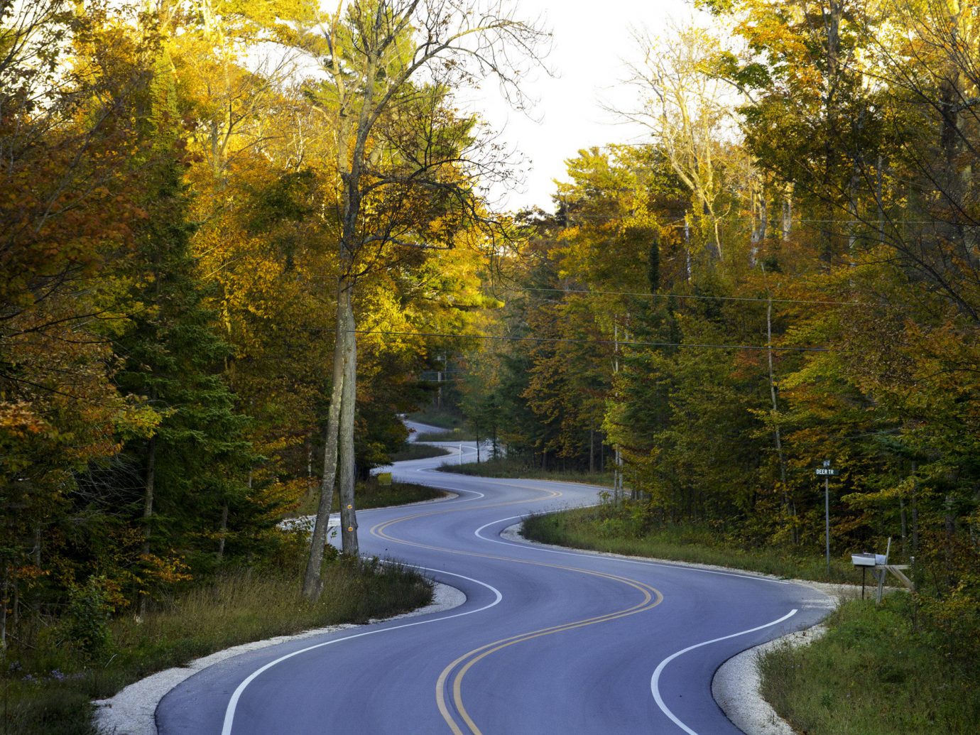 Road Trips Trip Ideas Weekend Getaways tree grass outdoor road leaf Nature yellow autumn woody plant infrastructure water plant Forest path scene way sky biome landscape reflection asphalt temperate broadleaf and mixed forest wooded woodland surrounded traveling