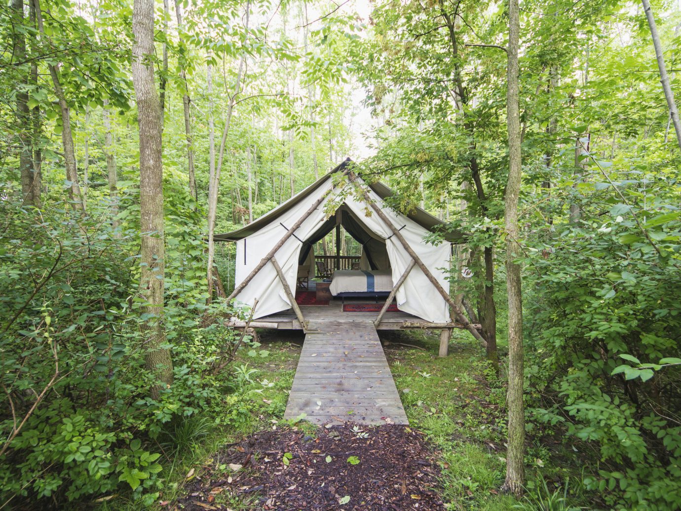 Glamping Luxury Travel Trip Ideas tree outdoor grass nature reserve path Forest vegetation woodland building wood Jungle rainforest old growth forest plant trail real estate cottage hut house state park wooded area lush surrounded Garden stone