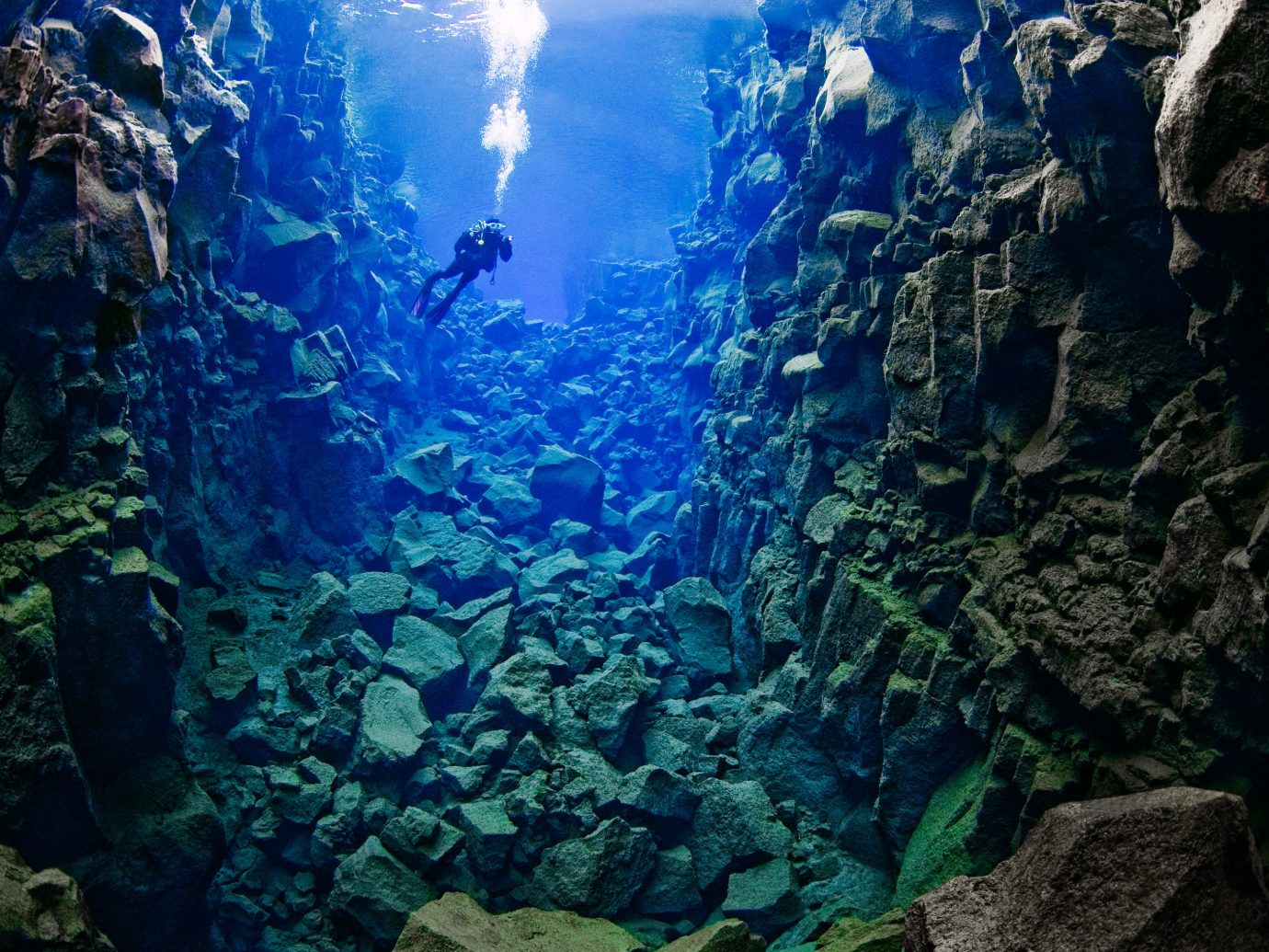 Iceland Travel Tips rock reef outdoor landform marine biology geographical feature Nature coral reef underwater biology mountain coral screenshot formation stone aquarium swimming surrounded ocean floor