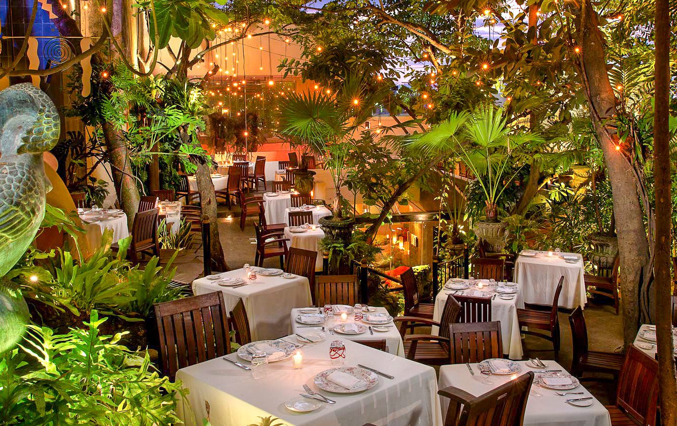 Food + Drink Mexico Puerto Vallarta tree table outdoor plant restaurant Jungle backyard outdoor structure leisure