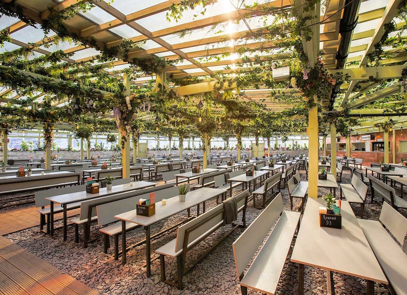 tree plant Pergola on the roof social hangout people summer