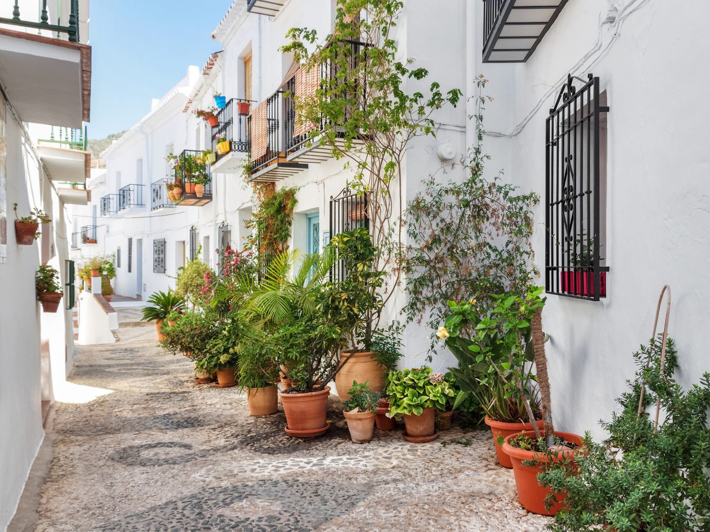 europe Spain Trip Ideas Town property neighbourhood alley flower house street Courtyard home real estate plant facade window apartment tree Balcony road City