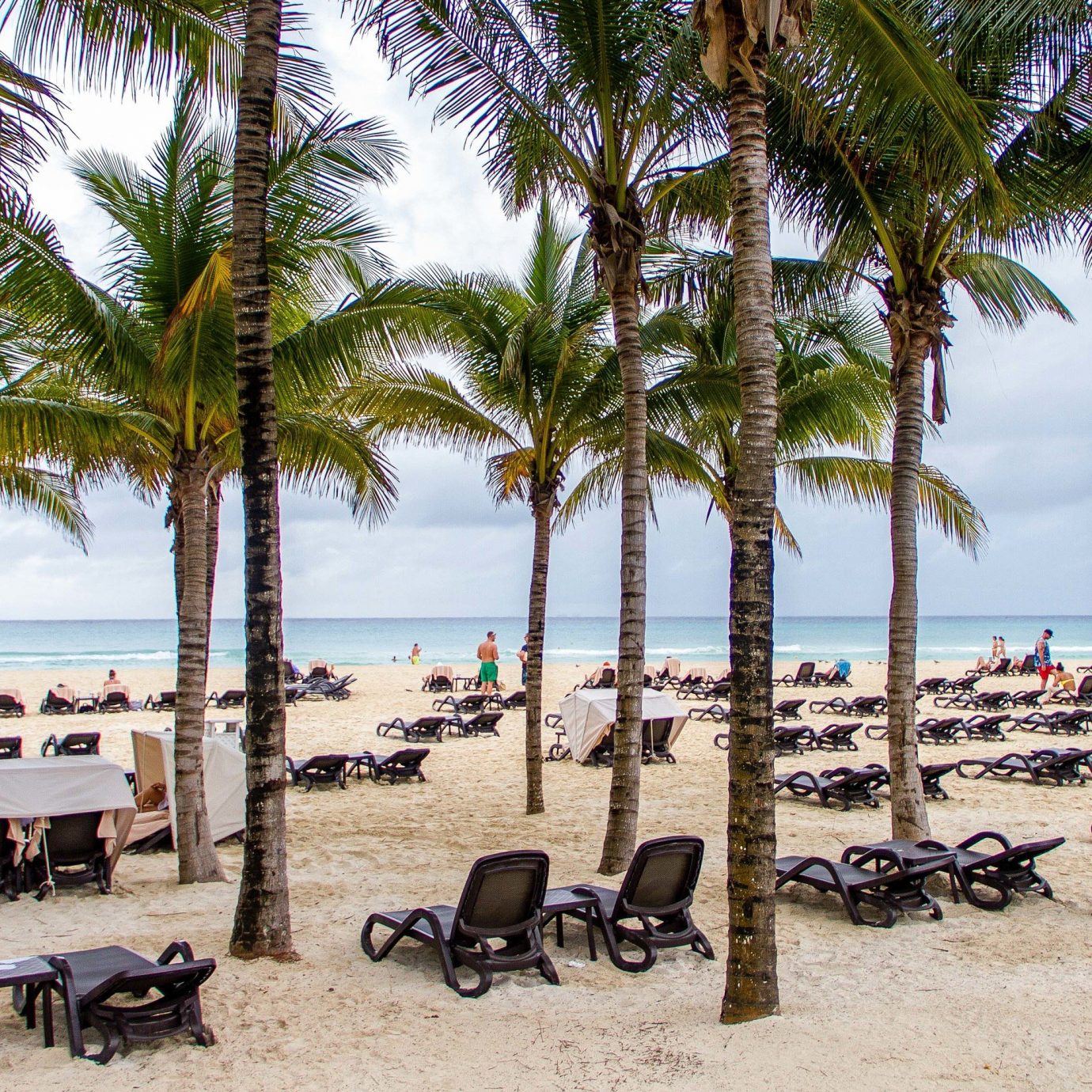 All-inclusive All-Inclusive Resorts Mexico Riviera Maya, Mexico Beach arecales palm tree tree Resort tropics shore plant caribbean Sea sky sand coconut
