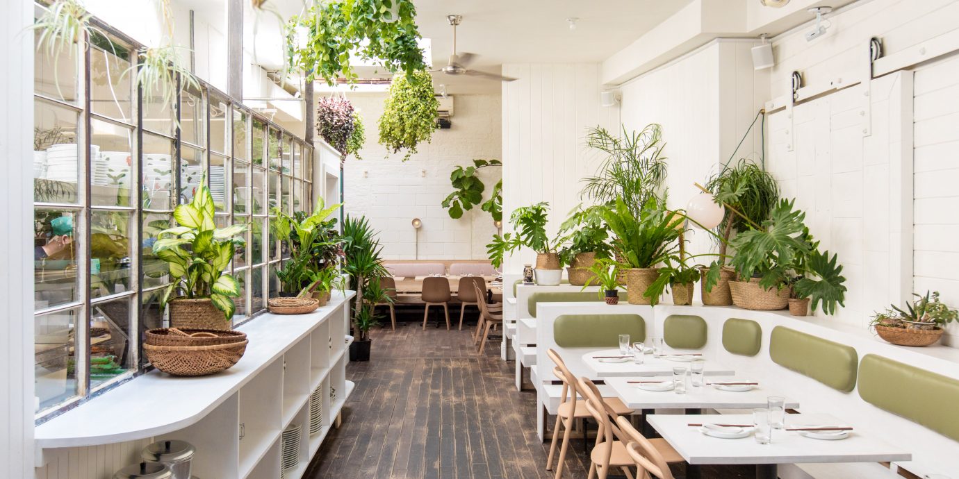 Interior at Đi Ăn Đi, Best New Restaurants in NYC