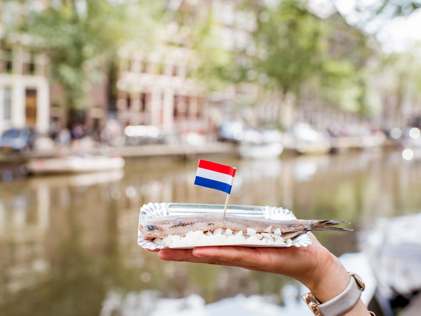 Holding a fresh harring with onion and netherland flag on the water channel background in Amsterdam