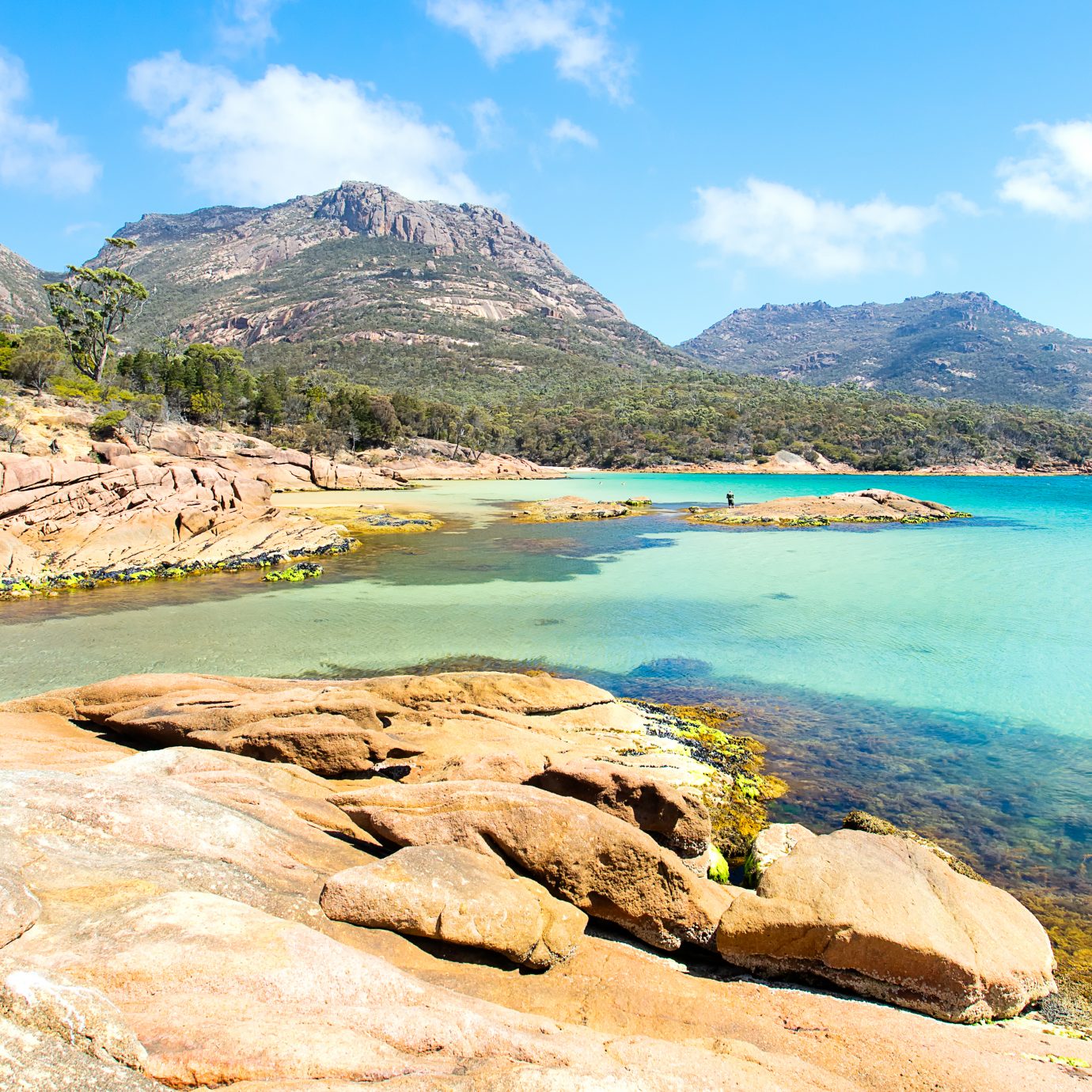 Honeymoon Bay in the Freycinet National Park on a clear day with blue water