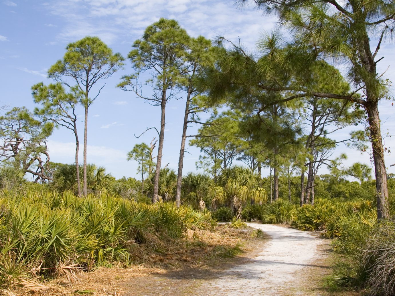Caladesi Island, a natural beauty on Florida's Gulf Coast