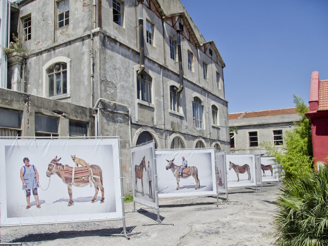 Open day at LX Factory with an outdoor art installation featuring large animals on white cloth
