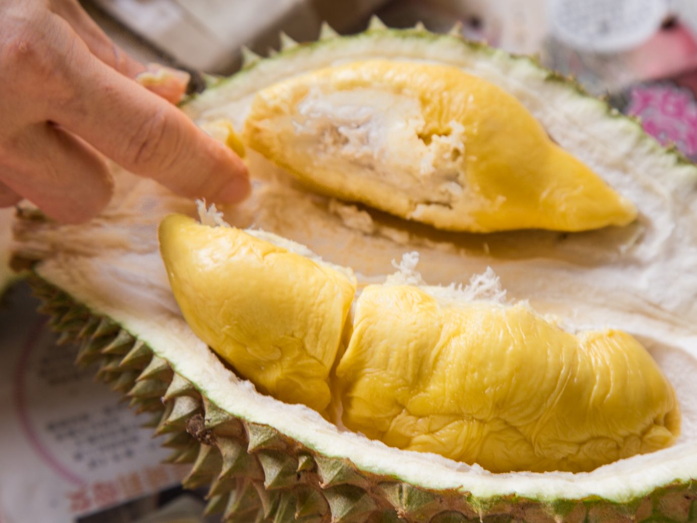 musang king durian fruit