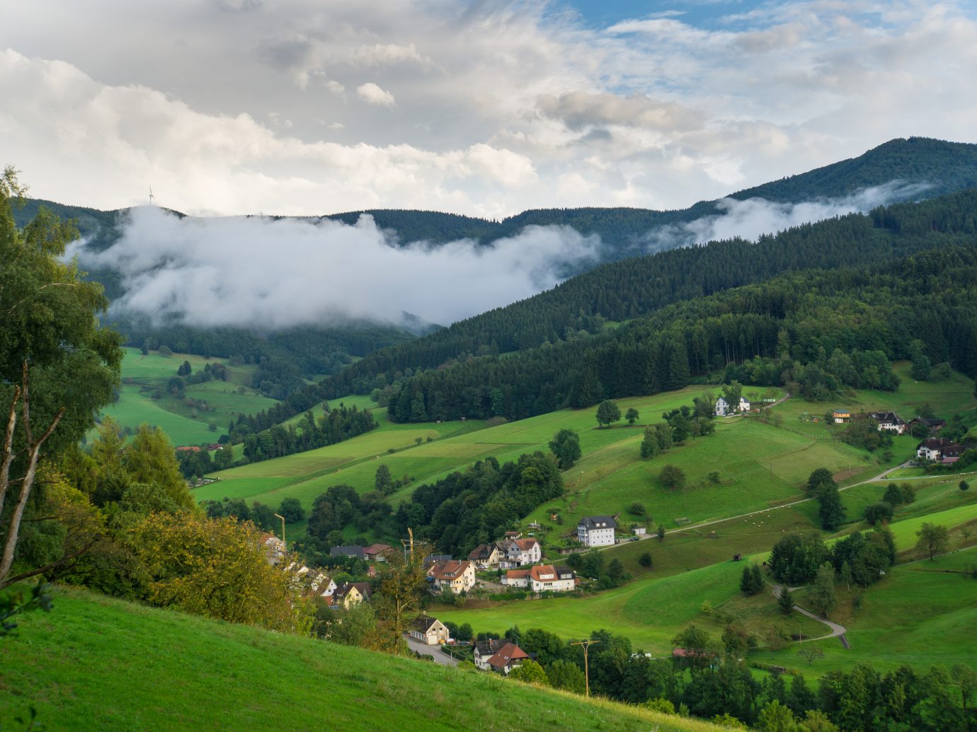 Black forest Germany with little village from above at dawn with fog