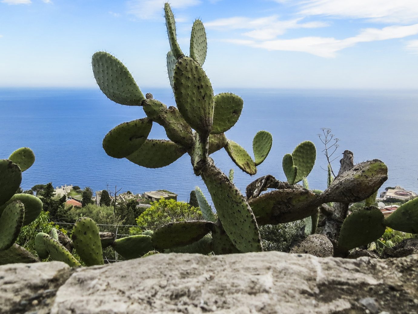 View of cactus and the sea of the coast from the city of Taormina, Sicily, Italy