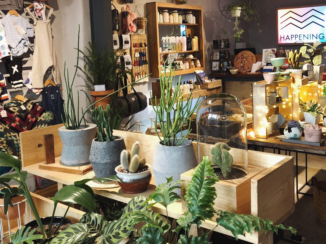 Interior of Happening with succulents in the store in Mexico City