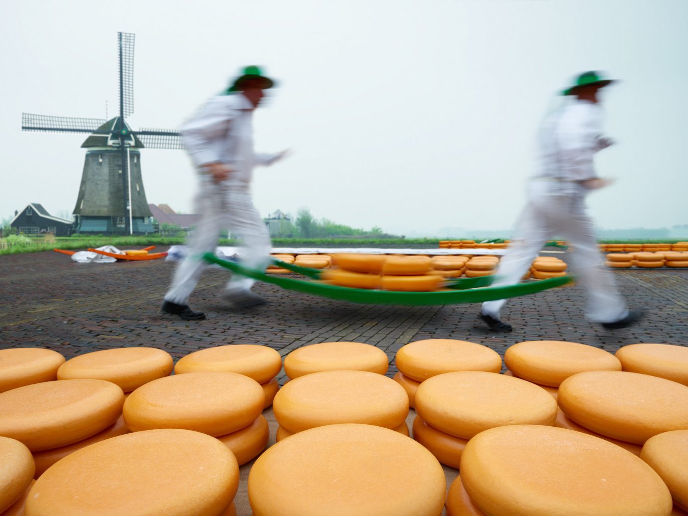 Gouda cheese being made in Gouda Netherlands