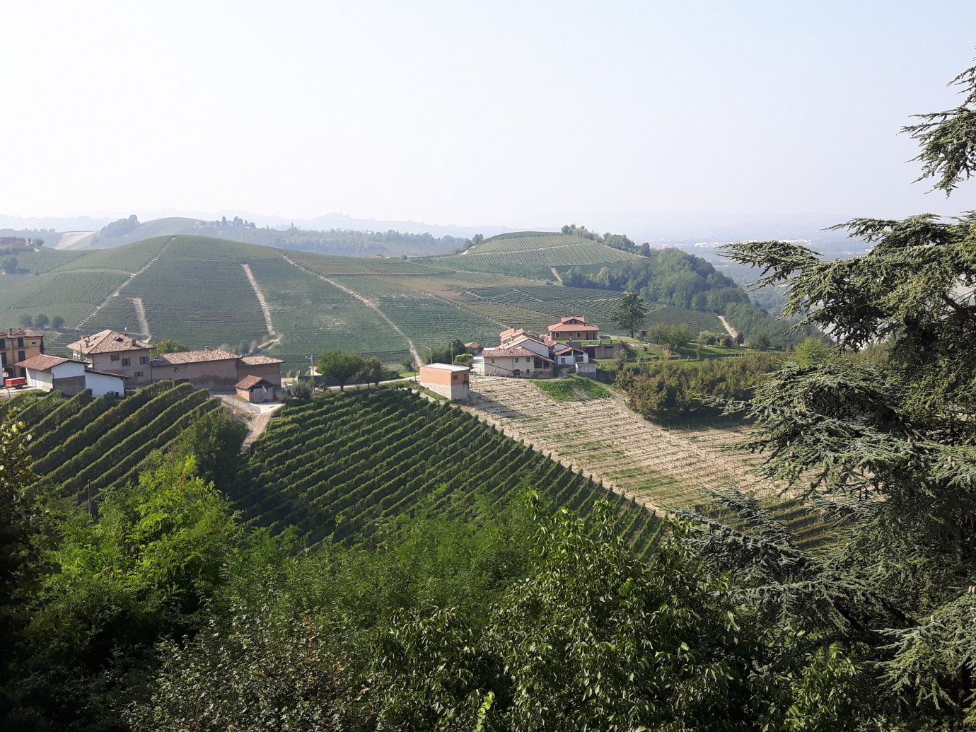 View of Piedmont in Italy