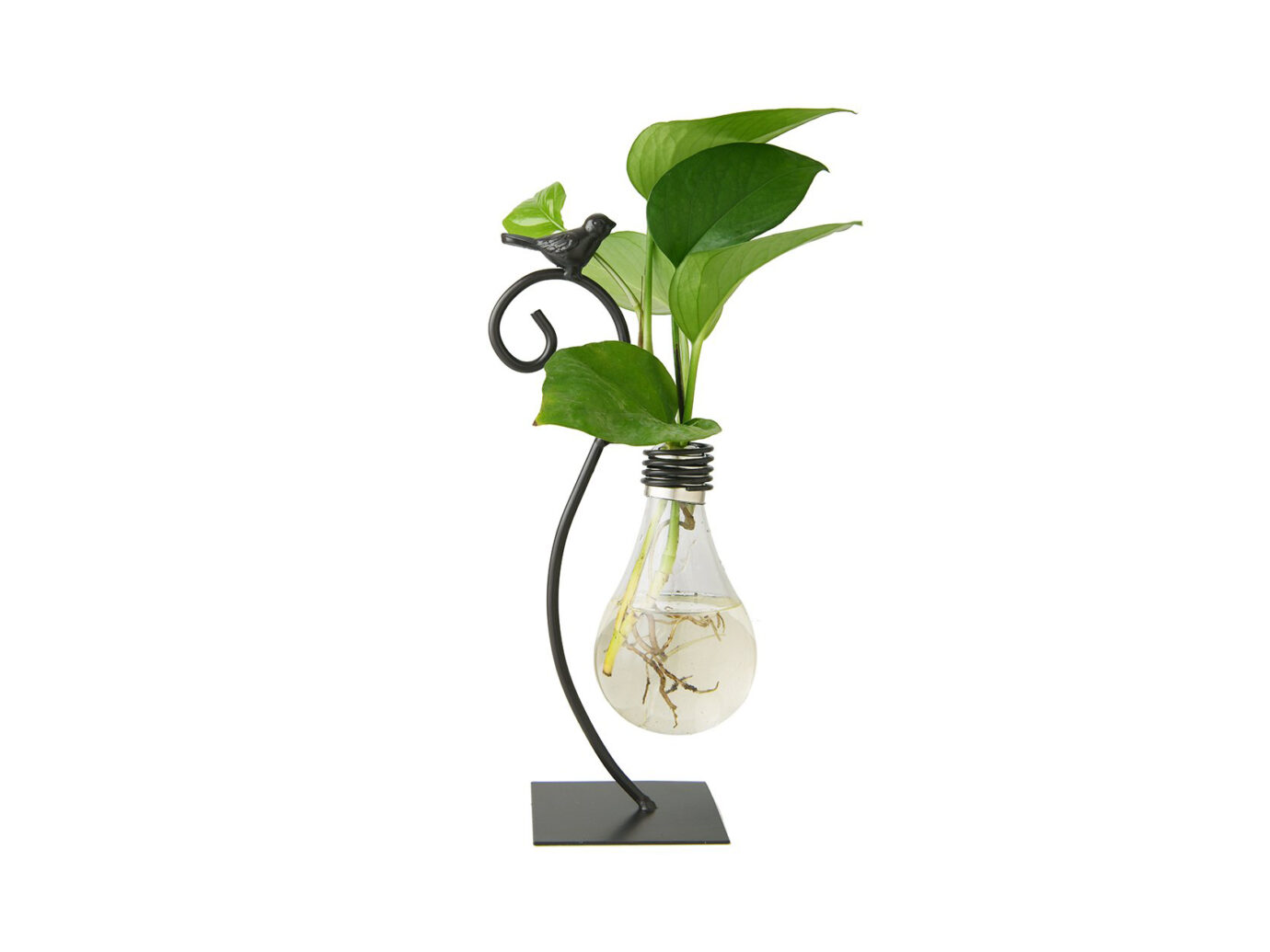 Marbrasse Desktop Glass Bulb Planter Vase