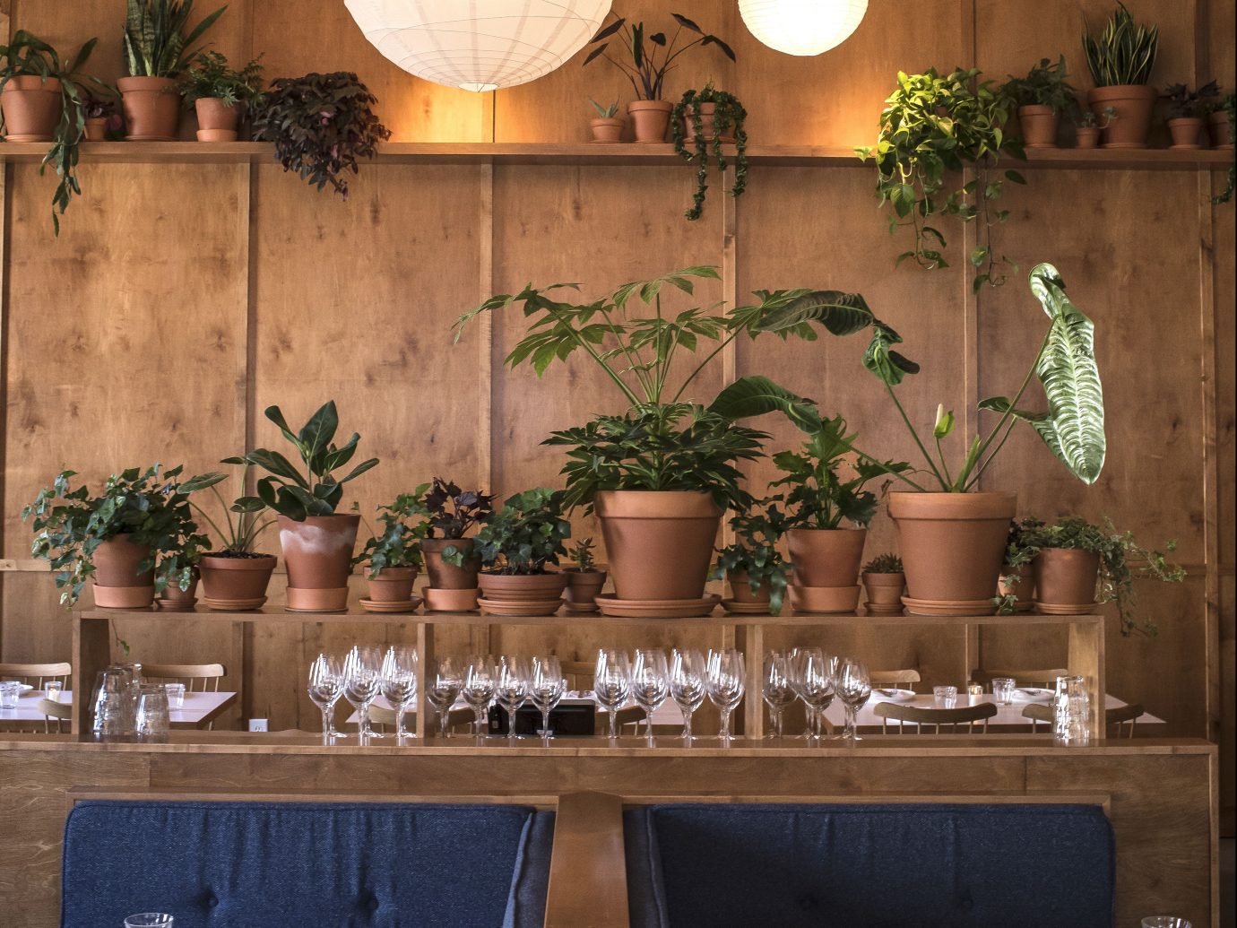Booths and ledge with potted plants and glassware