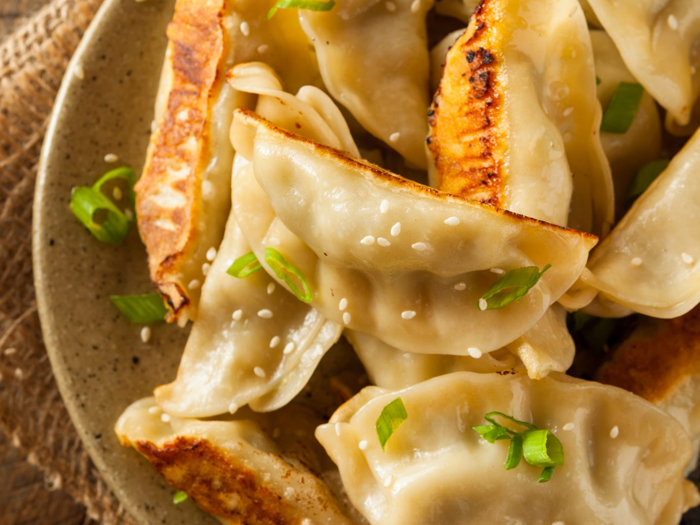 Homemade Asian Pork Potstickers with Soy Sauce