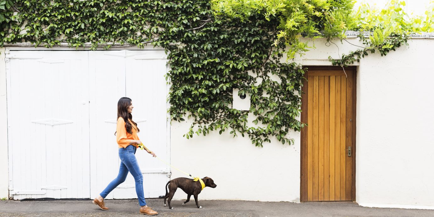 Woman in long pants walking a dog in LA, non-cropped pants for winter