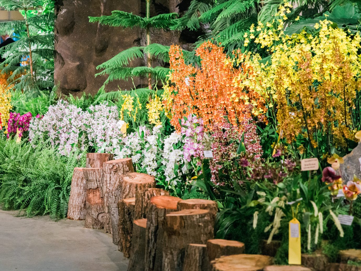 flower display at the International Orchid Show in Santa Barbara