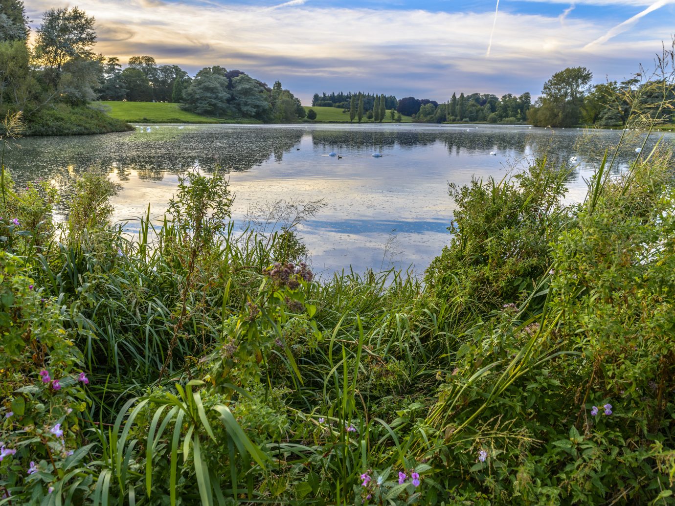 The lake in Blenheim Palace