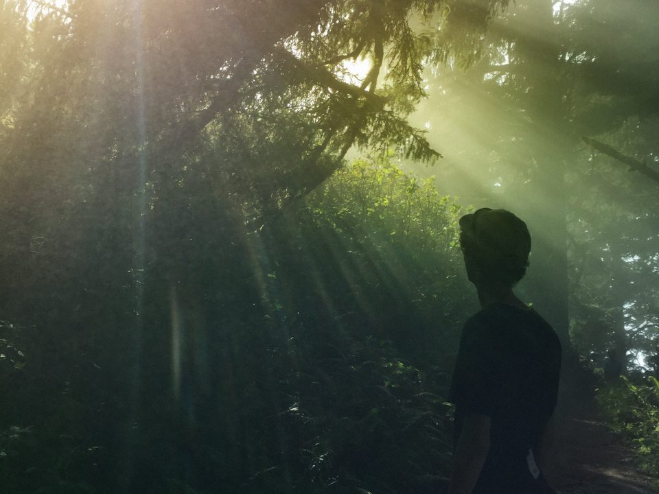 rays of light falling on a person in the forest
