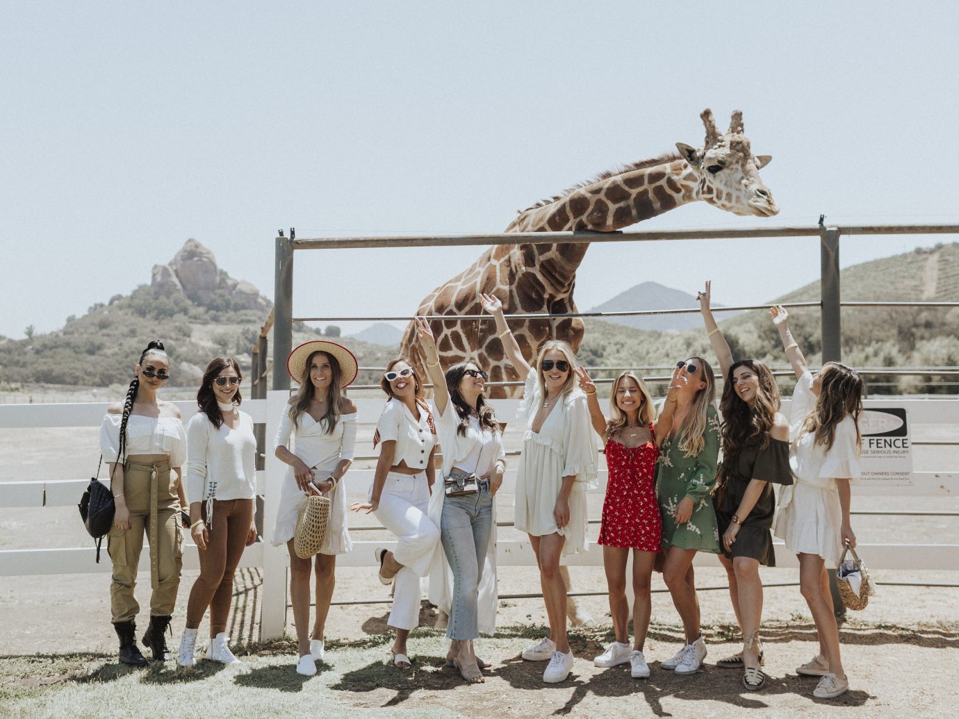 group of girls posing in front of giraffe