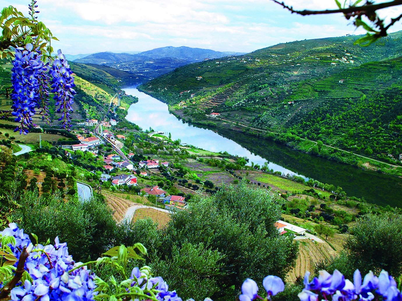Douro River Valley view, Portugal