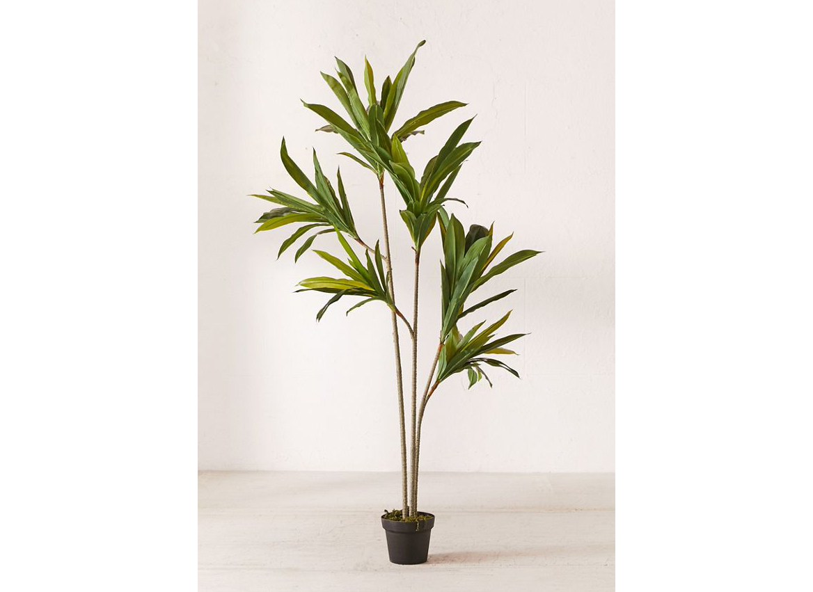 Dracena 5’ Potted Faux Tree