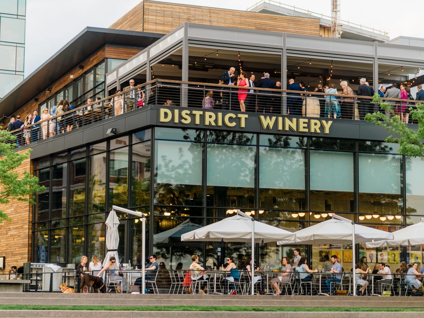 District Winery