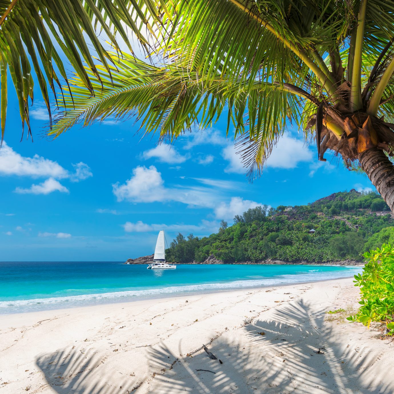 Sandy beach with palm trees and a sailing boat in the turquoise sea on Paradise island.