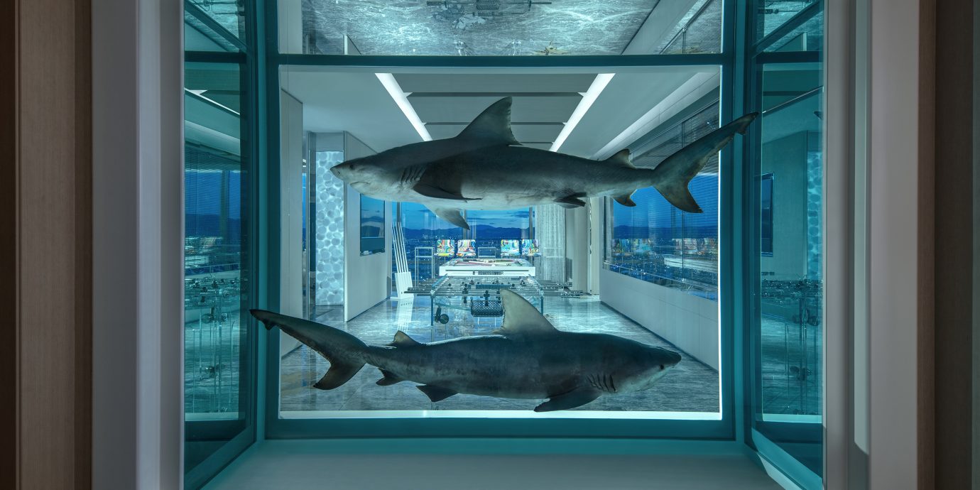 sharks installation at the Damien Hirst designed Empathy Suite, Palms Casino Resort Las Vegas