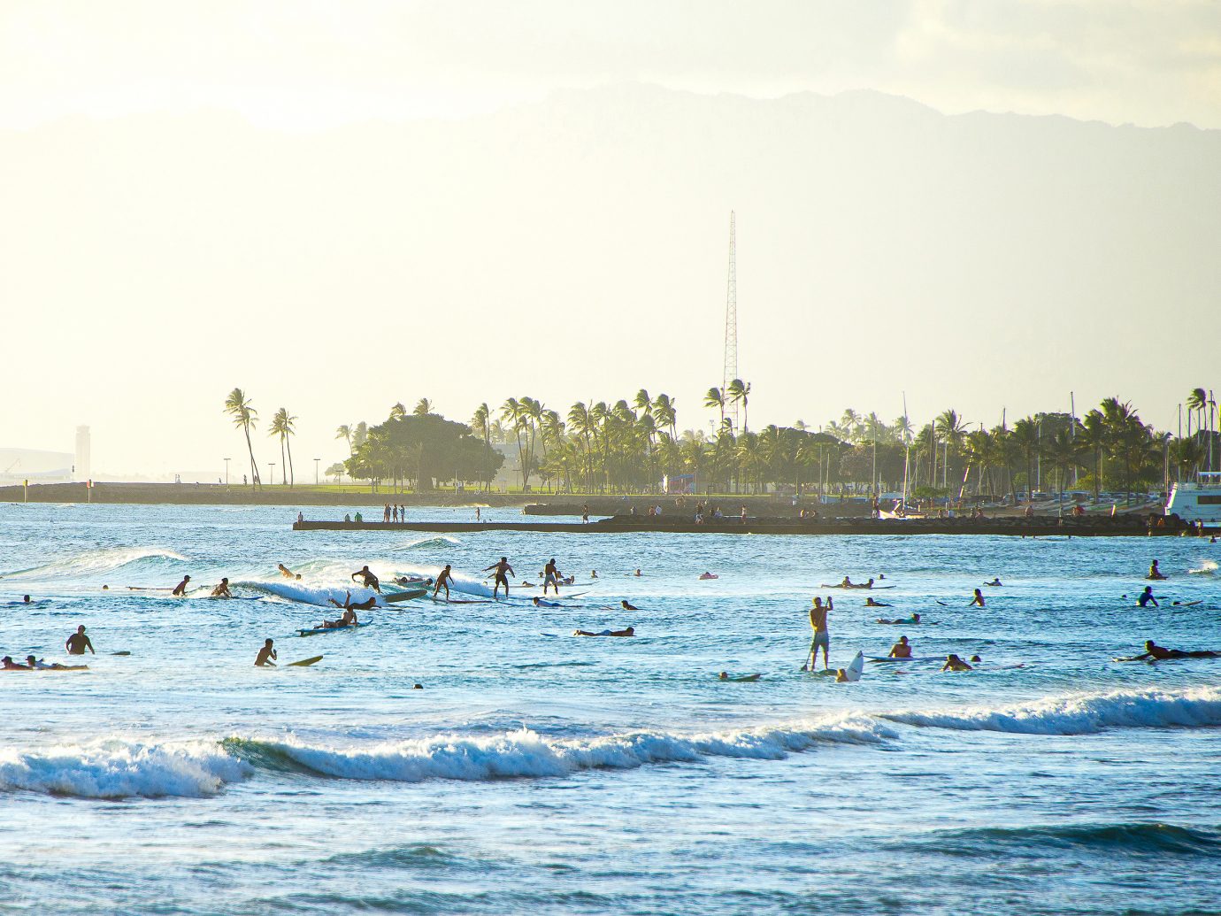 Many people surfing on surfboards and near Hawaii