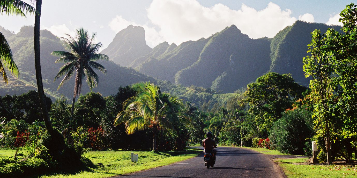 A motorcycle rider rides down a quiet polynesian road on a sunny day