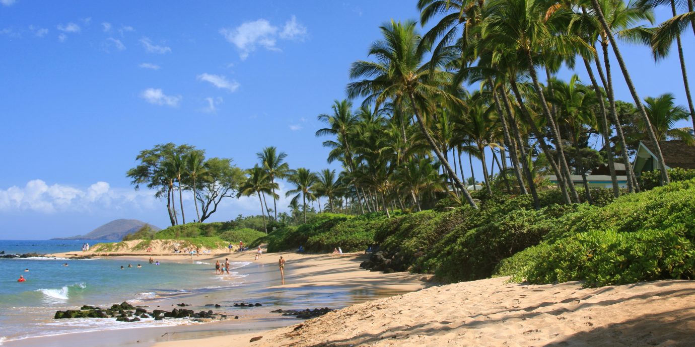 A beach in Maui Hawaii