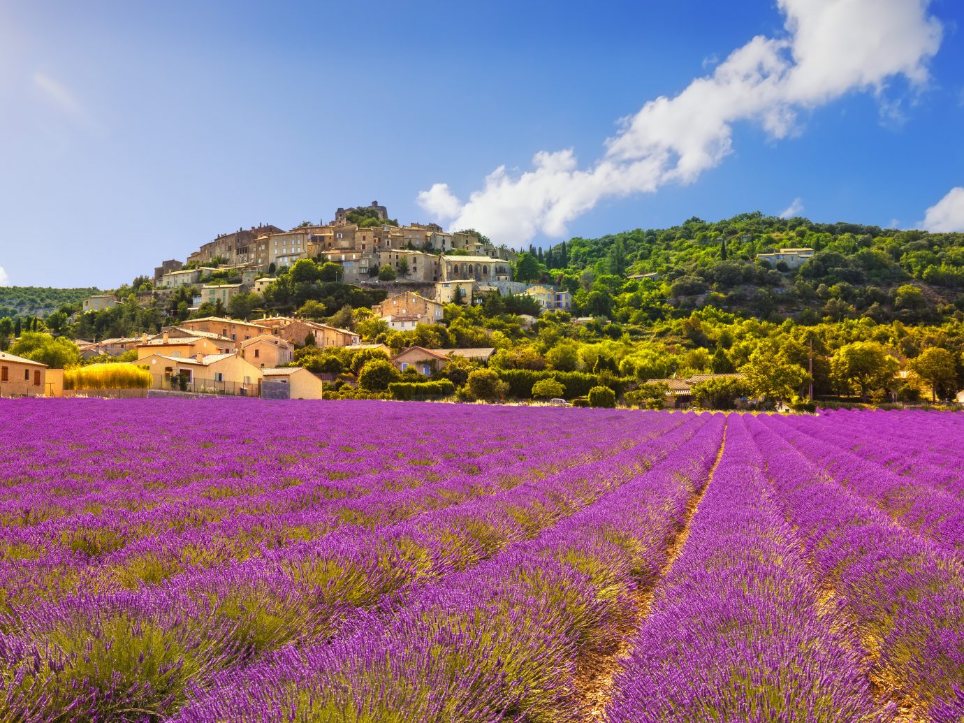Simiane la Rotonde village and lavender panorama. Provence, France, Europe