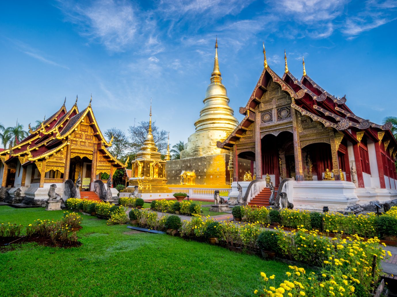 Sunrise scence of Wat Phra Singh temple. in the old city center of Chiang Mai,Thailand.
