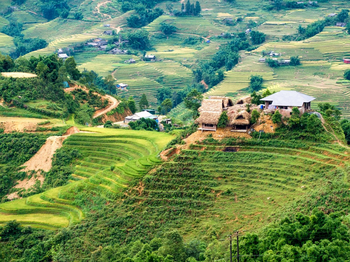 Cottage house on rice field terraced in valley